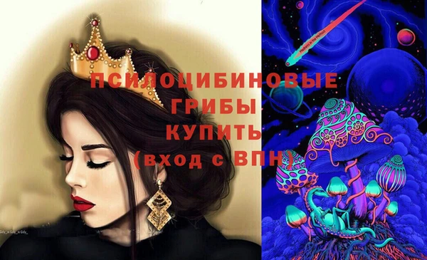 2c-b Козловка