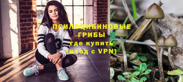 ГАЛЛЮЦИНОГЕННЫЕ ГРИБЫ Красноперекопск