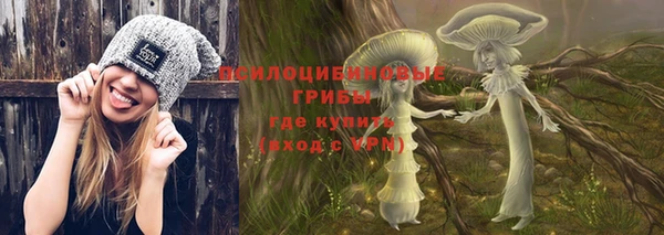 Альфа ПВП Козельск