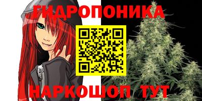 СК Кингисепп