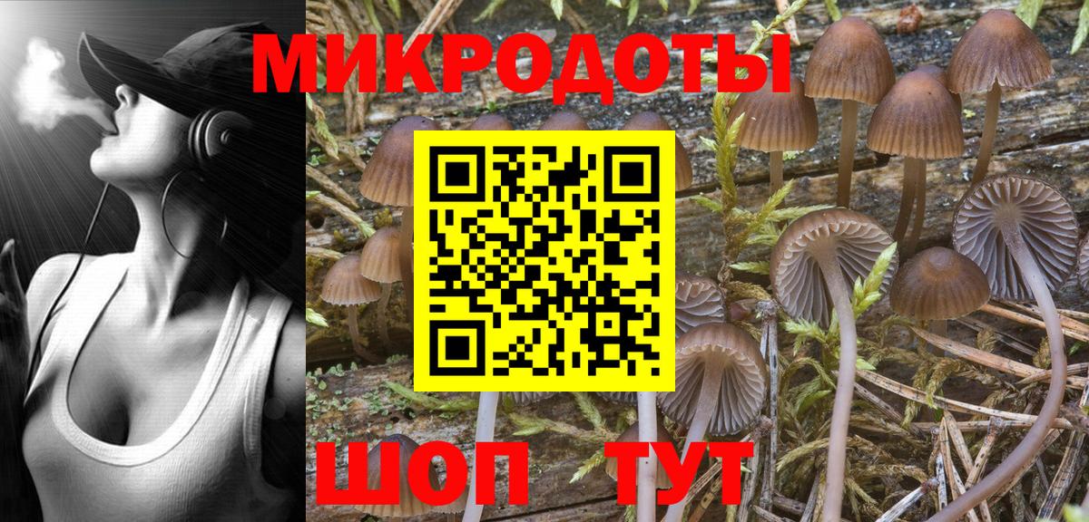 Кизилюрт  Галлюциногенные грибы Magic Shrooms  Вход с VPN  что такое наркотик  Псилоцибиновые грибы Cubensis 