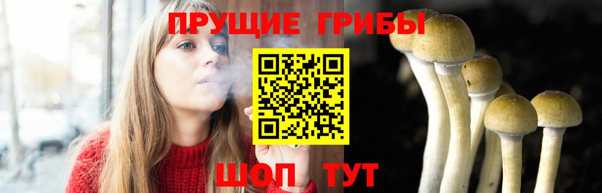 Псилоцибиновые грибы Psilocybine cubensis Кизилюрт