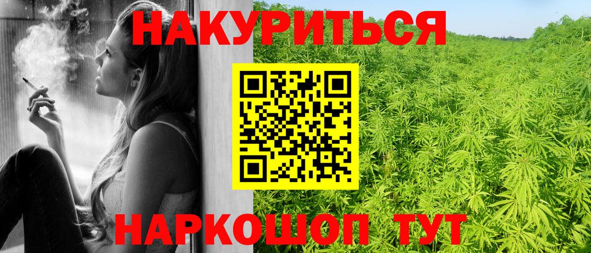 Каннабис сатива Кизилюрт